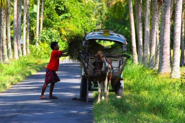 Desa Sukamaju ala Lombok Barat : Desa Tempos di Lereng 