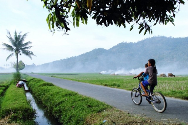  Desa Sukamaju ala Lombok Barat Desa Tempos di Lereng 